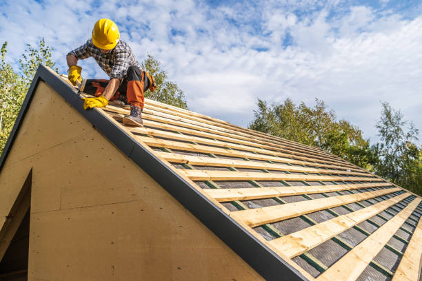 Best Roof Waterproofing Services  in Las Palmas Ii, TX