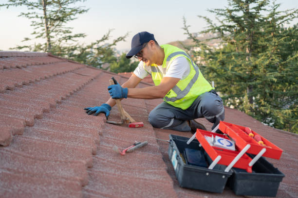 Quick and Trustworthy Emergency Roof Repair Services in Las Palmas Ii, TX